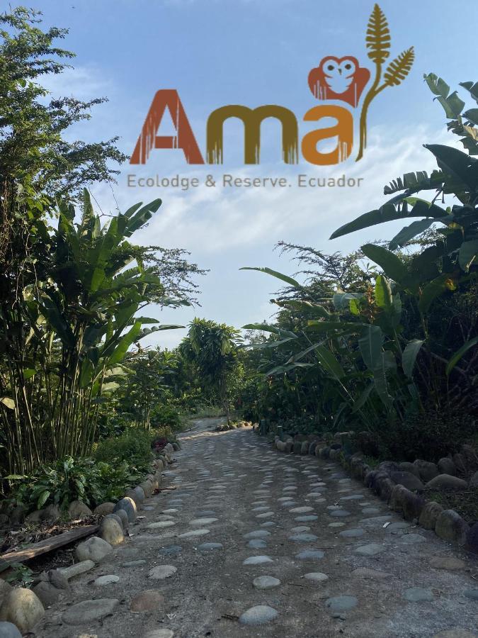 Ama Ecolodge Puerto Misahuallí 外观 照片